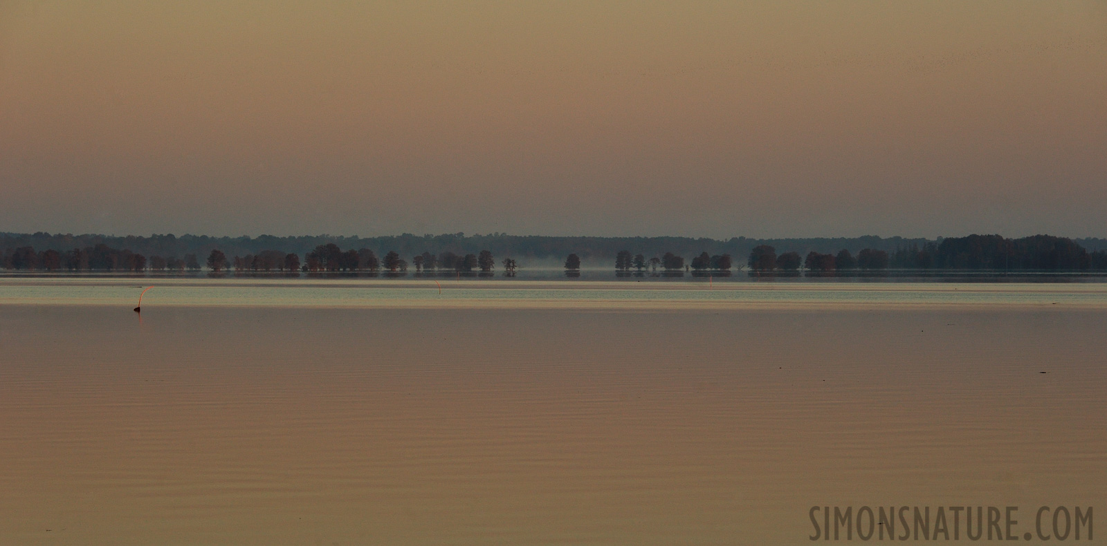 South Carolina [135 mm, 1/500 Sek. bei f / 8.0, ISO 800]